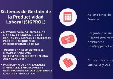 Sistemas de Gestión de la Productividad Laboral (SIGPROL)