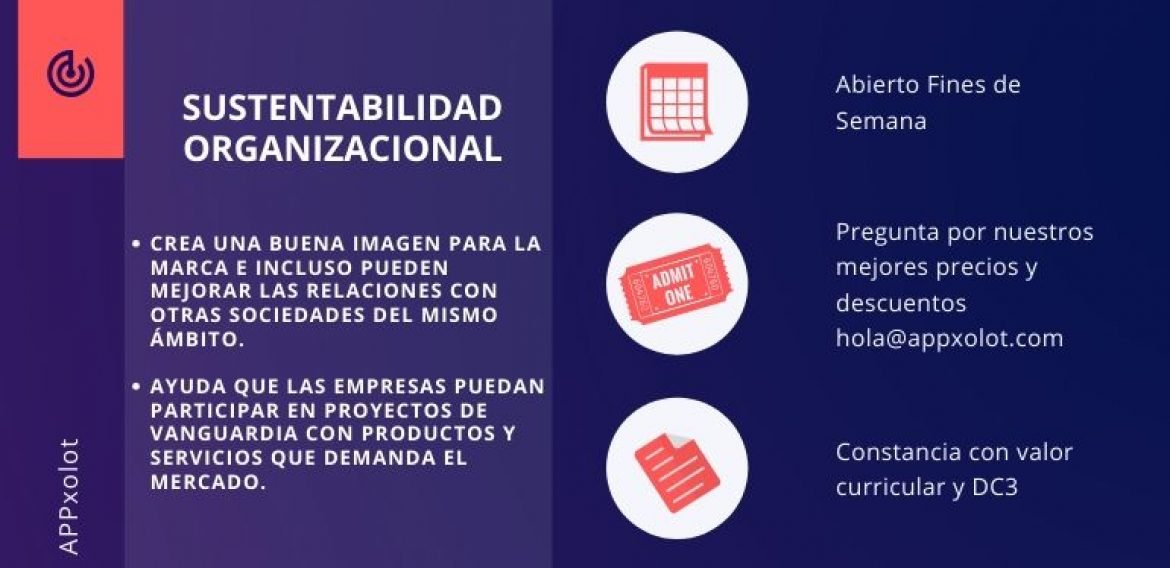 Sustentabilidad Organizacional