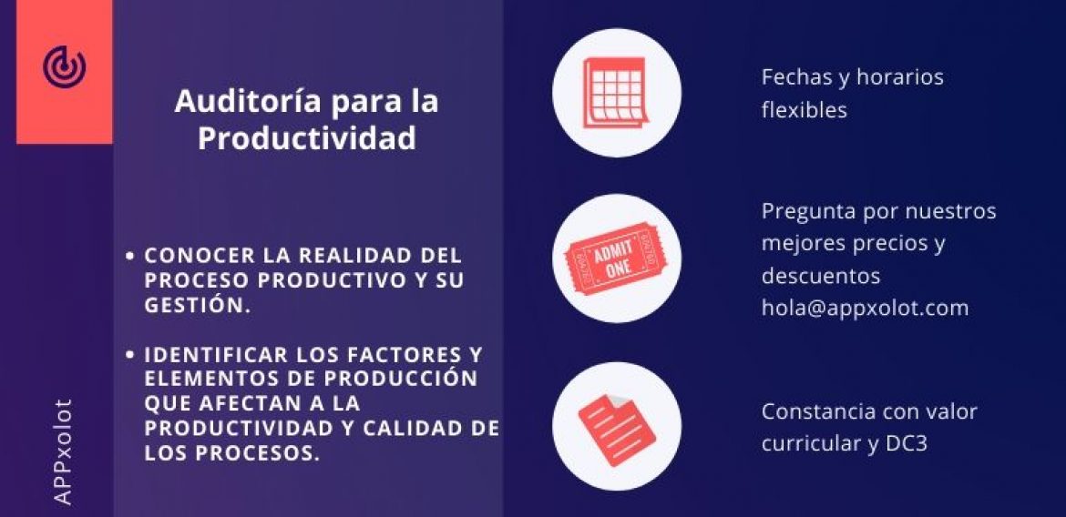 Auditoría para la Productividad