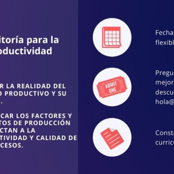 Auditoría para la Productividad