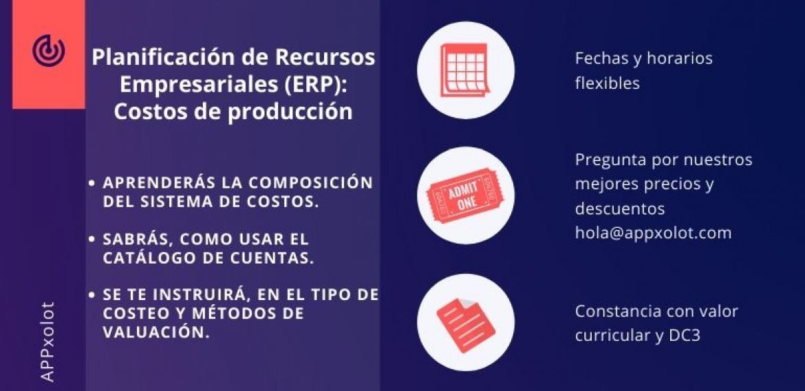 Planificación de Recursos Empresariales (ERP): Costos de producción