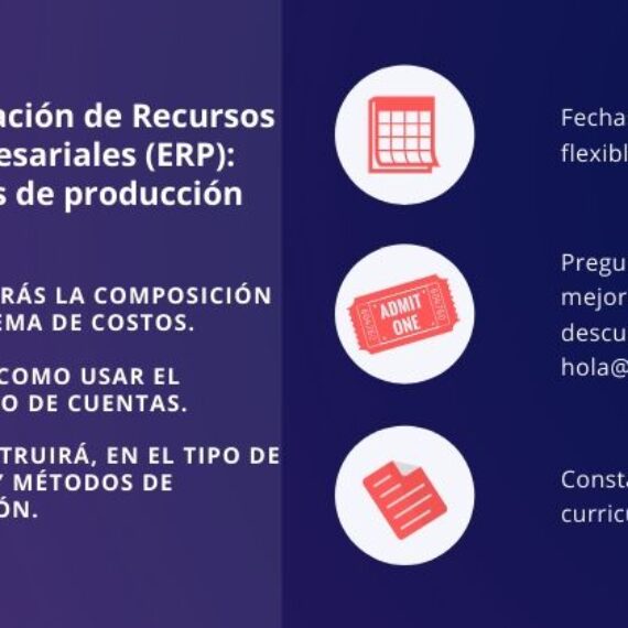 Planificación de Recursos Empresariales (ERP): Costos de producción
