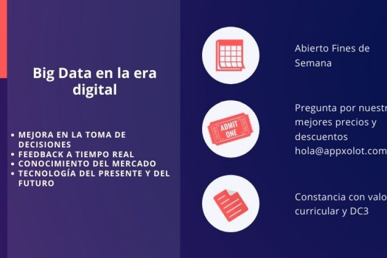 Big Data en la era digital