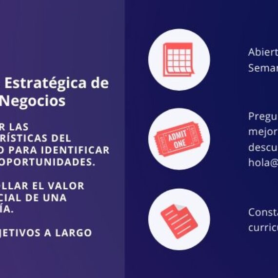 Visión Estratégica de Negocios
