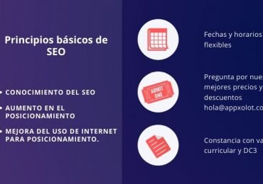 Principios básicos de SEO