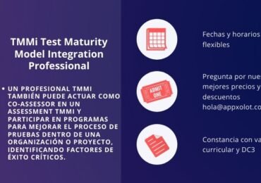 TMMi Test Maturity Model Integration Professional