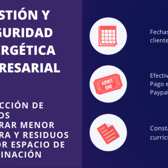 GESTIÓN Y SEGURIDAD ENERGÉTICA EMPRESARIAL