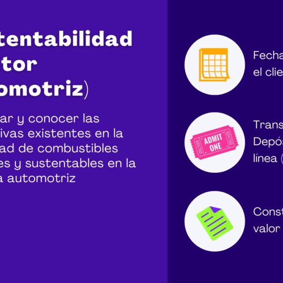 Sustentabilidad (Sector Automotriz)