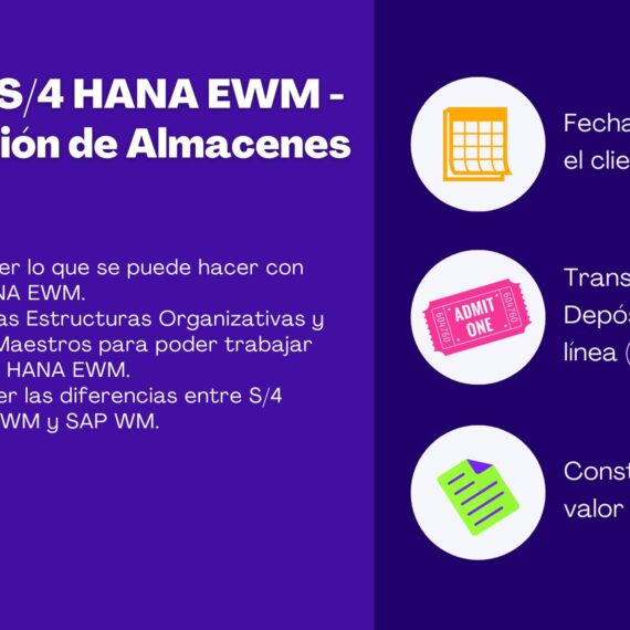 SAP S/4 HANA EWM – Gestión de Almacenes 