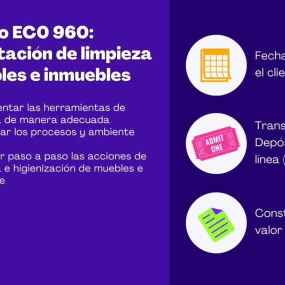 Curso EC0 960: Prestación de limpieza muebles e inmuebles