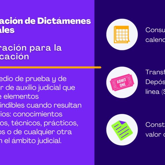 Elaboración de Dictámenes Periciales
