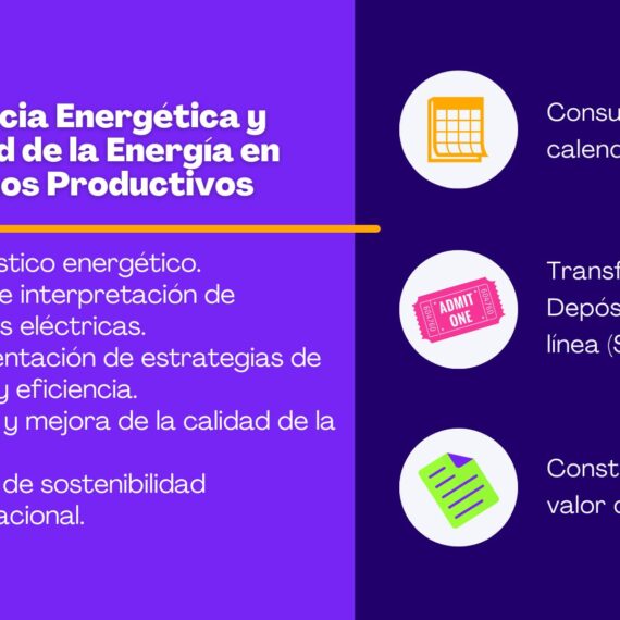 Eficiencia Energética y Calidad de la Energía en Entornos Productivos