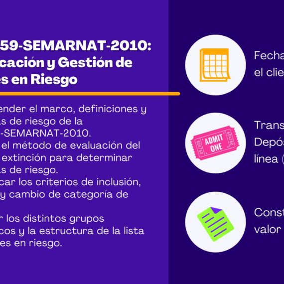Inclusión Laboral y Diversidad (DEI): Sesgos Inconscientes y Cultura Colaborativa
