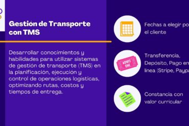 Gestión de Transporte y Envíos: Optimización, Control y Plataformas TMS