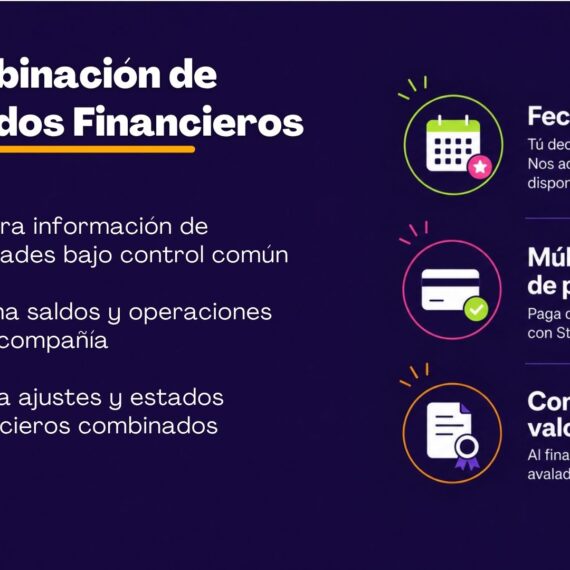 Combinación de Estados Financieros